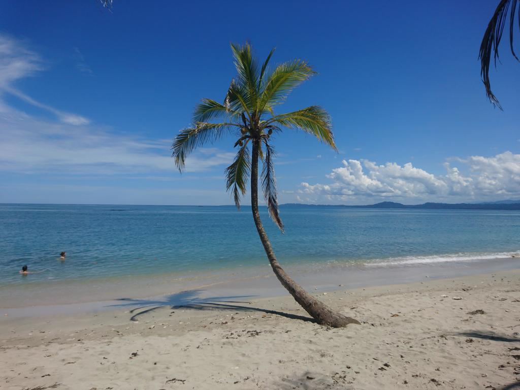 Casa Verde, Cahuita Exteriér fotografie
